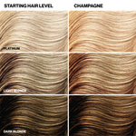 Hair color chart showing different shades from Platinum to Dark Blonde with 'Champagne' as an example.
