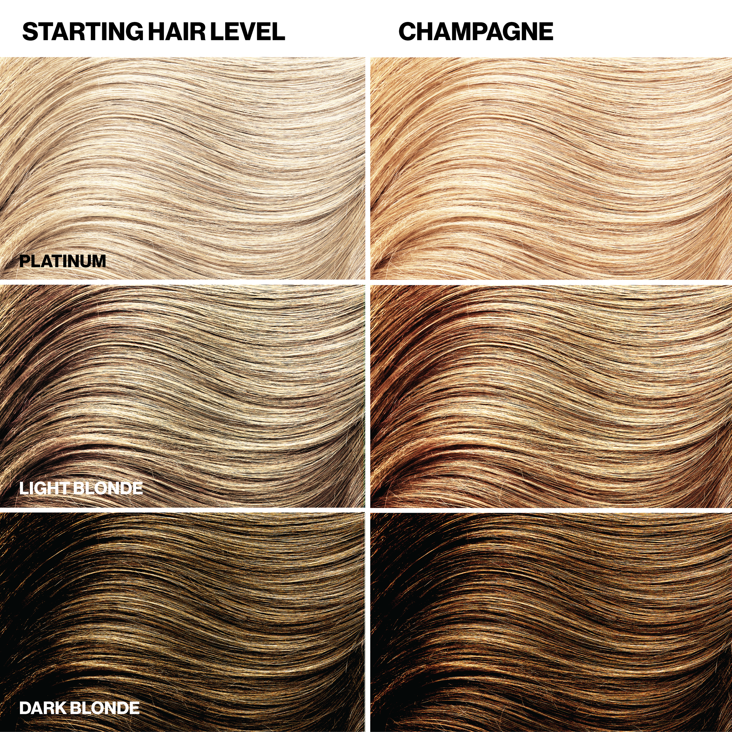 Hair color chart showing different shades from Platinum to Dark Blonde with 'Champagne' as an example.