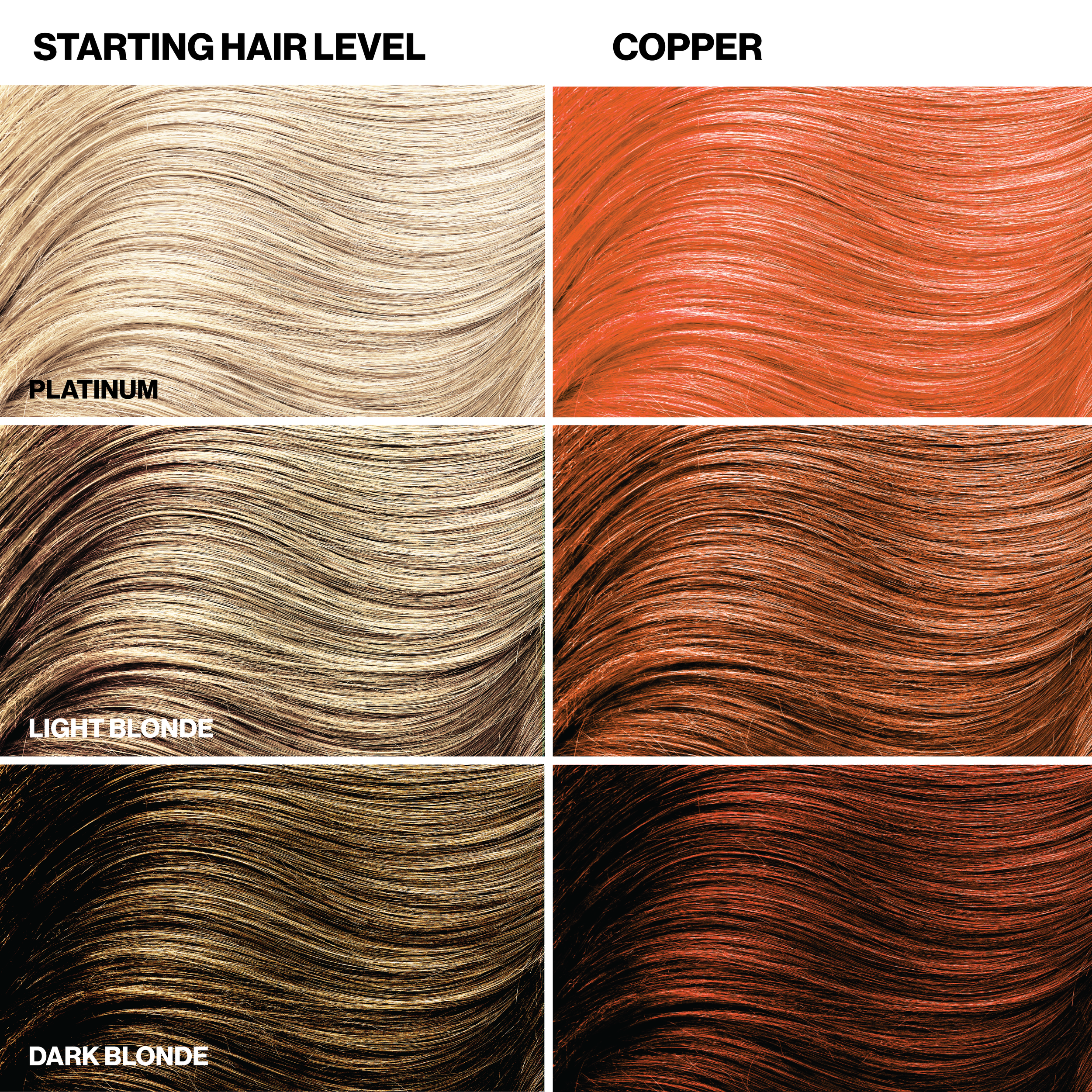 Hair color chart showing starting hair levels and copper tones.