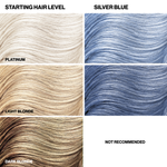 Color chart for silver hair color results with starting hair level, platinum, light blonde, and a 'not recommended' option (for dark blonde).